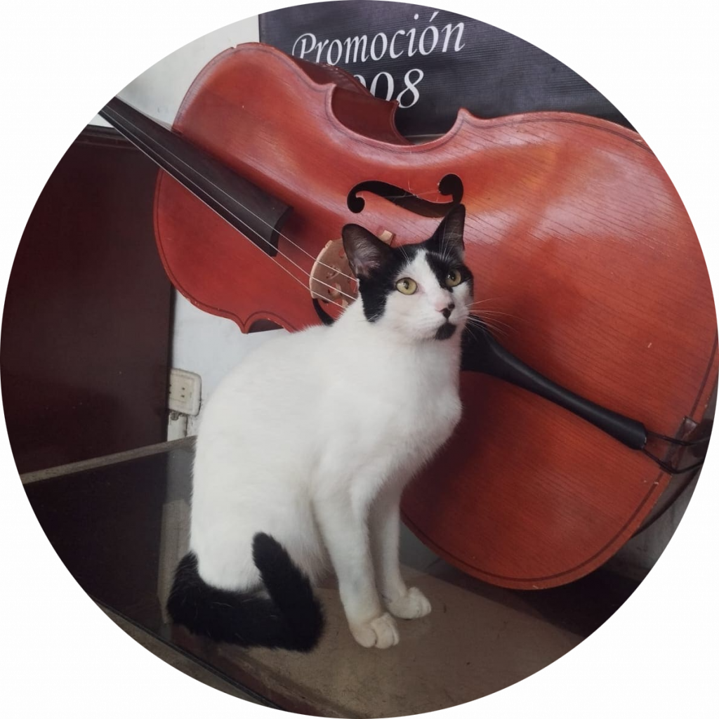 whatsapp image 2025 12 17 at 09.50.45 (3) modified