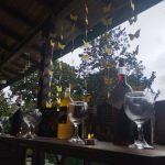 whatsapp image 2025 12 17 at 09.50.45 (5)