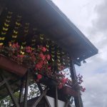 whatsapp image 2025 12 17 at 09.50.45 (6)