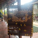 whatsapp image 2025 12 17 at 09.50.45 (7)