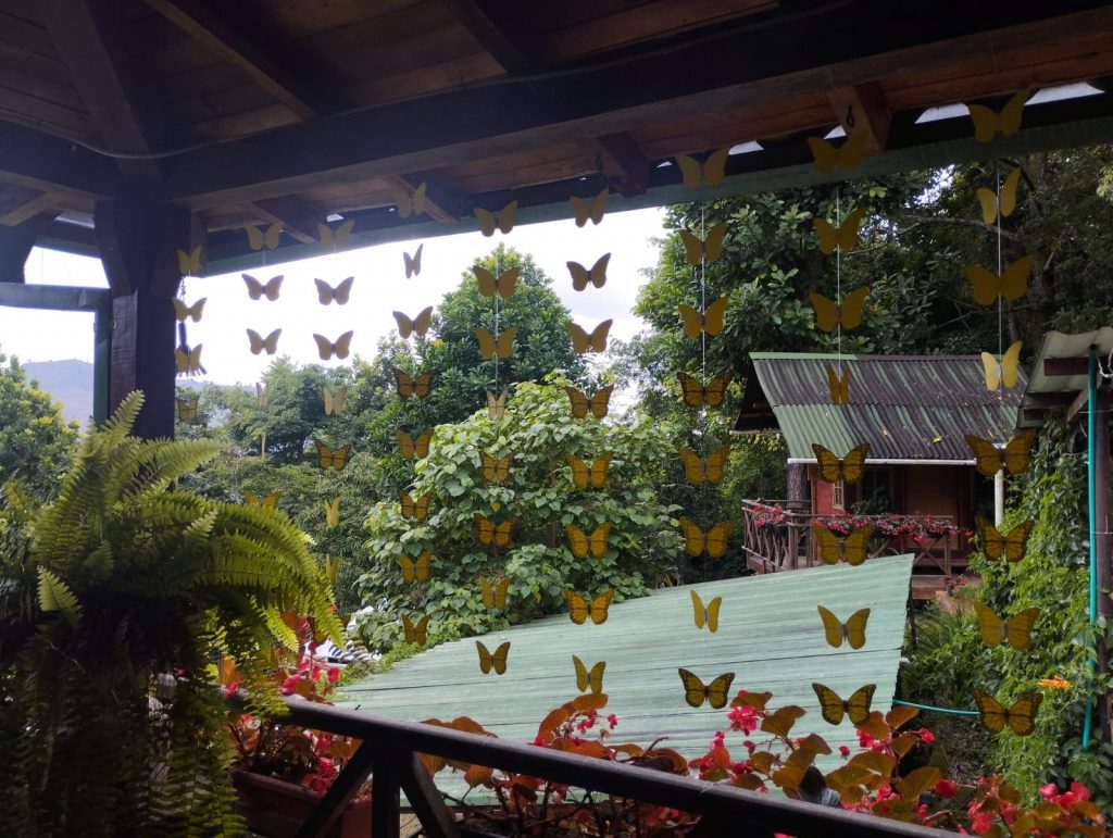 whatsapp image 2025 12 17 at 09.50.46 (1)