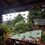 whatsapp image 2025 12 17 at 09.50.46 (1)