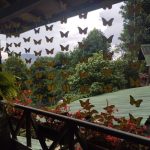 whatsapp image 2025 12 17 at 09.50.46 (2)