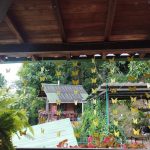 whatsapp image 2025 12 17 at 09.50.46 (3)