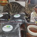 whatsapp image 2025 12 17 at 09.50.46 (5)