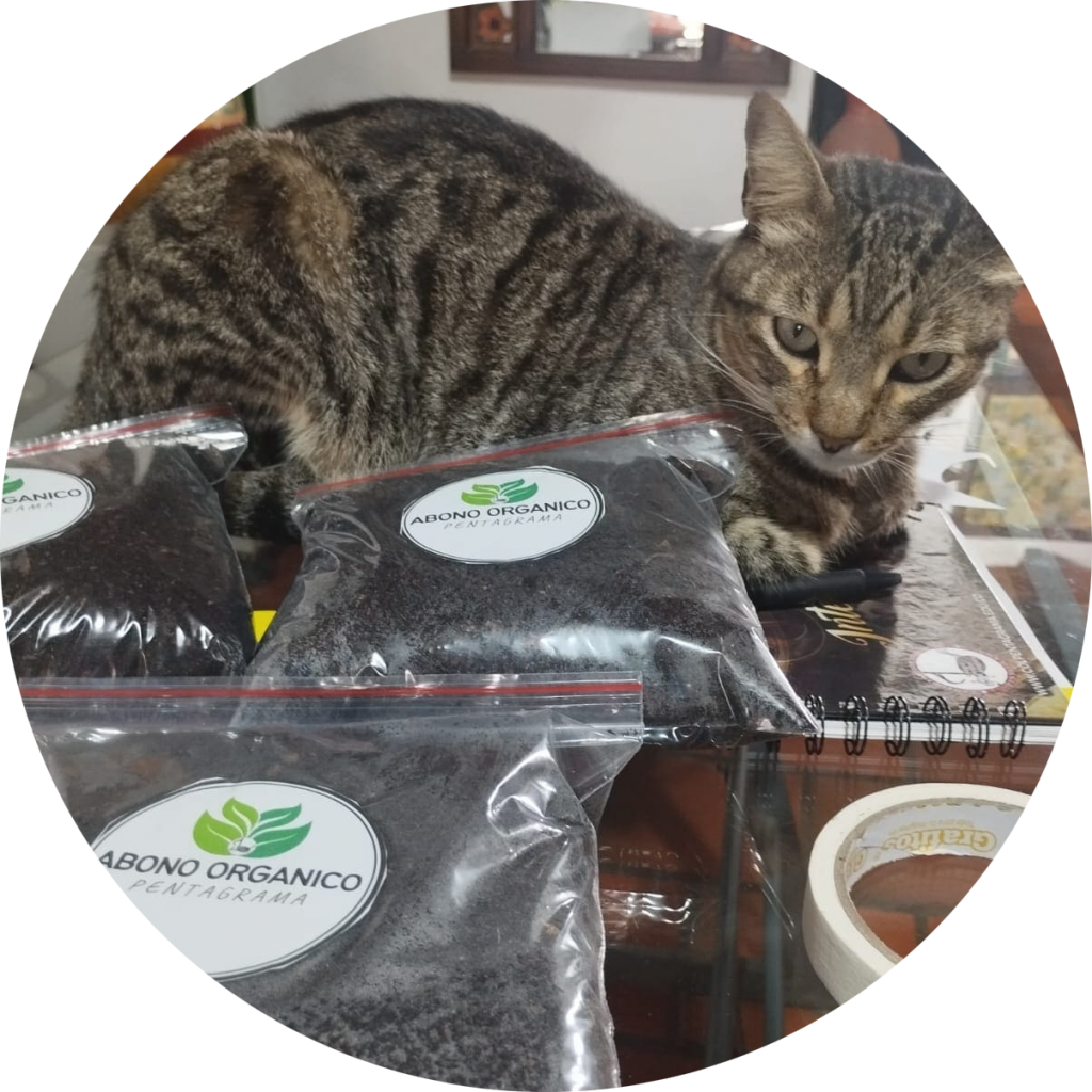 whatsapp image 2025 12 17 at 09.50.46 (5) modified