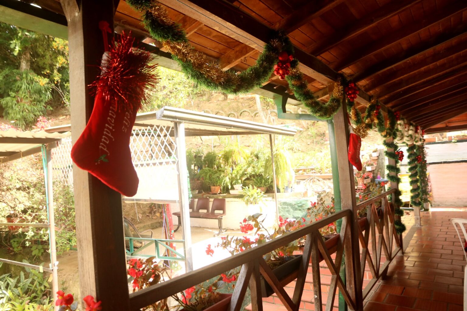 Navidad Pentagrama whatsapp image 2025 12 20 at 11.53.33