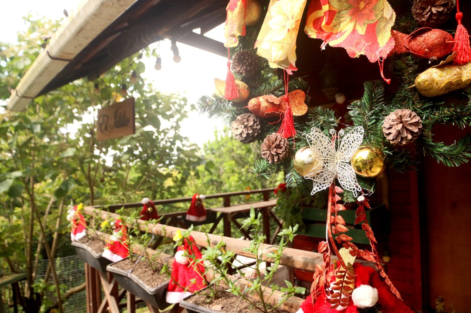 Navidad Pentagrama whatsapp image 2025 12 20 at 11.53.33 (4)